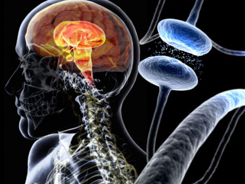 Central Nervous System Diseases